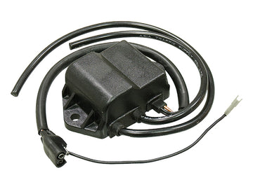 POLARIS 500 INDY EFI (L/C FUJI) [1996] - CDI box for snowmobiles