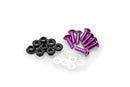 KTM RC 390 [2025] – Anodized Disc Bolt Kit – Silver-52