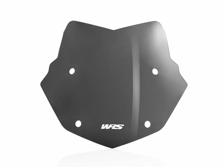 BMW R 1200 GS [WRS] - windshield