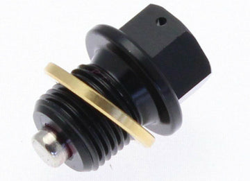 BMW R 1150 GS [Tecnium] - magnetic drain screw