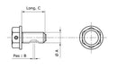 BMW R 1150 GS [Tecnium] - magnetic drain screw-2