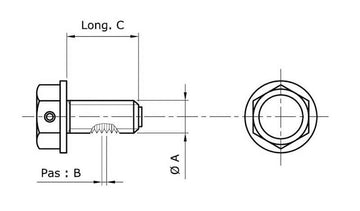 BMW R 1150 GS [Tecnium] - magnetic drain screw - 0