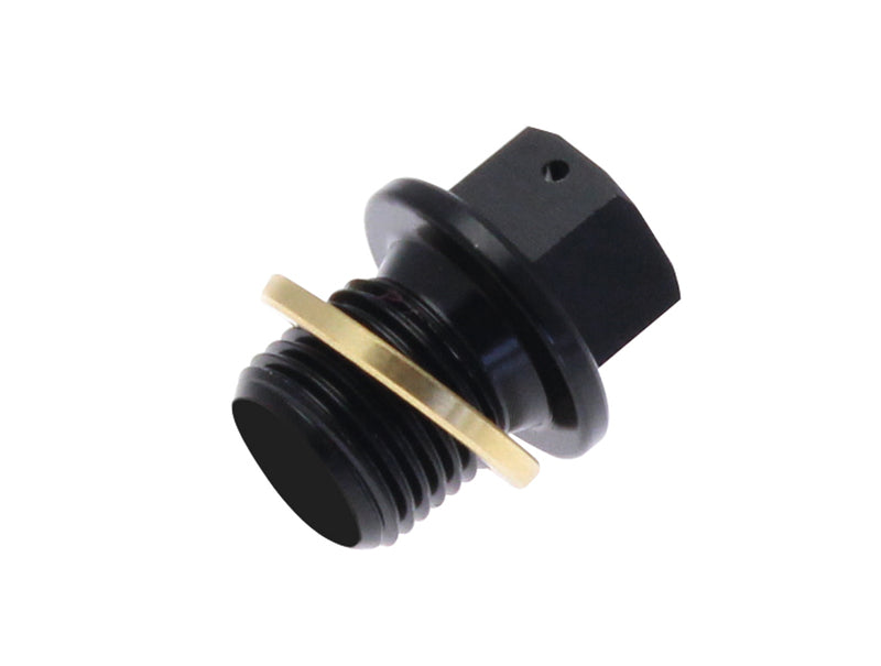 BMW R 1100 R [Tecnium] - drain screw