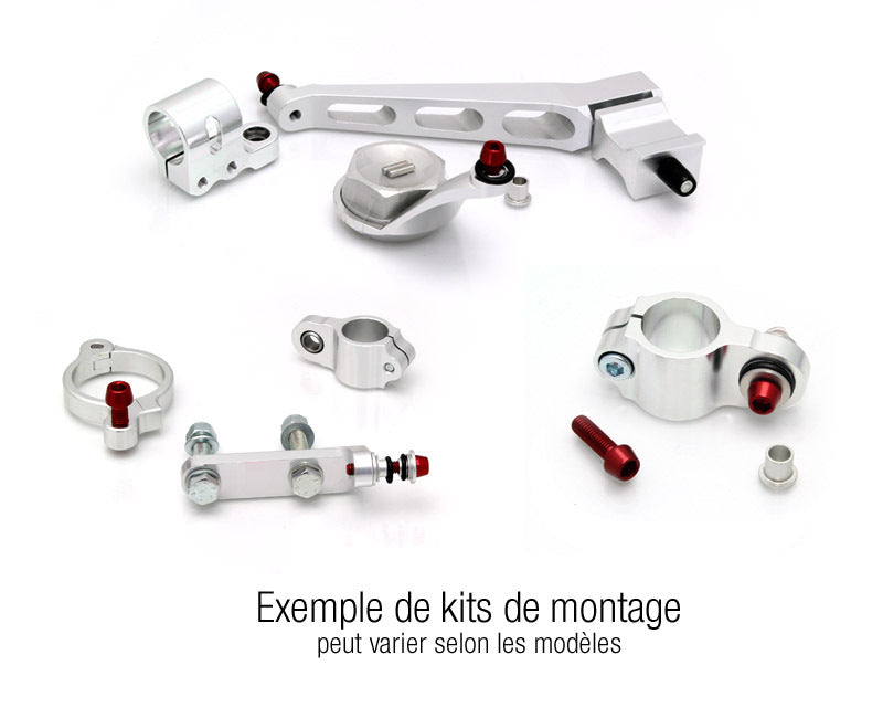 Honda Hornet 600 [BITUBO] - STEERING DAMPER KIT BITUBO FOR HONDA CB600F HORNET 98-03