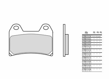 Moto Guzzi Stelvio 1200 [Brembo] - brake pads