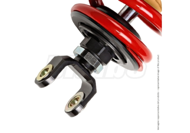 Indian Ftr 1200 [BITUBO] - Racing XXF31 rear shock absorber