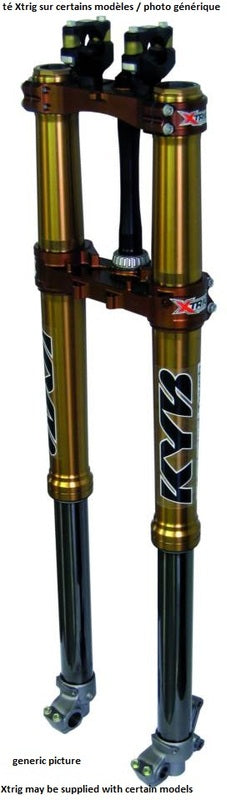 Yamaha Yz 450 [KAYABA] - 2017 AOS Fork Semi factory - Yamaha YZ-F