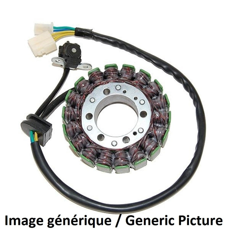 Suzuki Gsf 650 [ELECTROSPORT] - Stator - Suzuki GSX650F