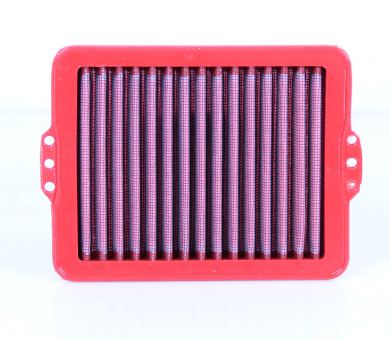Bmw F 750 Gs [BMC] - Air filter - FM01004