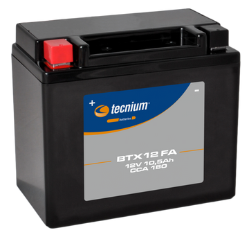 BMW F 900 R K84 [Tecnium] - maintenance -free motorcycle battery