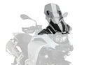 BMW F 900 GS [2025] – sports screen – transparent-2