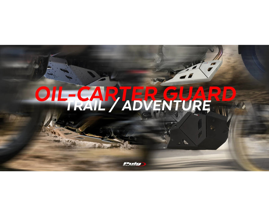 BMW F 900 GS [2025] – Engine Guard – Silver