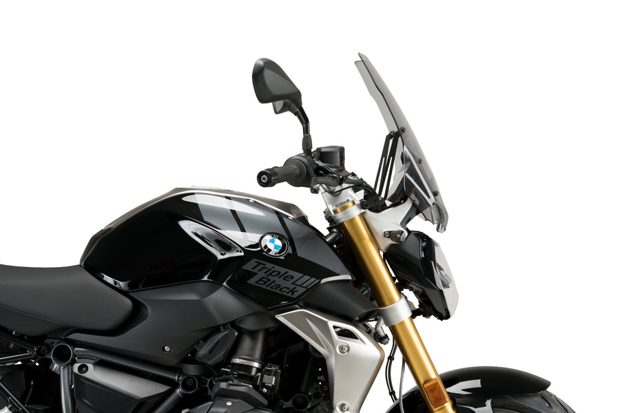 BMW R 1250 R [2025] – New Generation Touring – Tinted