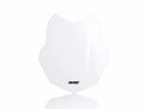 BMW R 1200 GS [WRS] - windshield-5