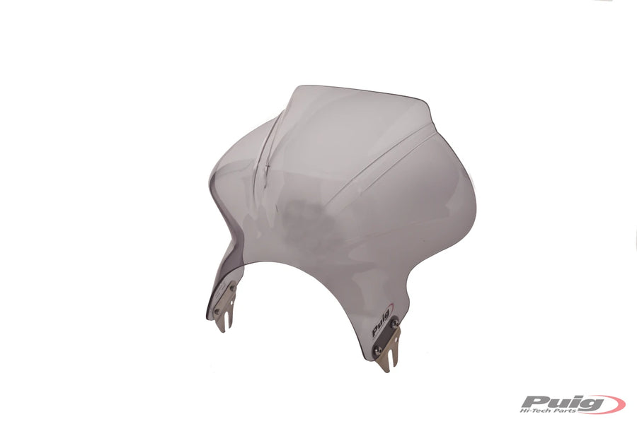 KAWASAKI Z 900 RS SE [2025] – Cockpit windshield fairing – Strong