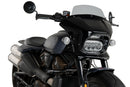 HARLEY DAVIDSON SPORTSTER S RH 1250 S [2024] – Fury – Heavily tinted-32