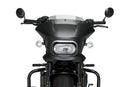 HARLEY DAVIDSON SPORTSTER S RH 1250 S [2024] – Fury – Heavily tinted-7
