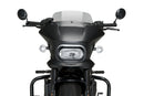HARLEY DAVIDSON SPORTSTER S RH 1250 S [2024] – Fury – Heavily tinted-43