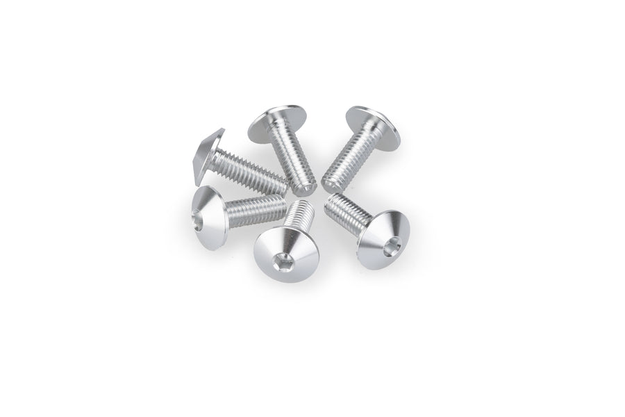 KTM RC 390 [2025] – Anodized Disc Bolt Kit – Silver