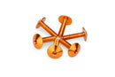 KTM RC 390 [2025] – Anodized Disc Bolt Kit – Black-44
