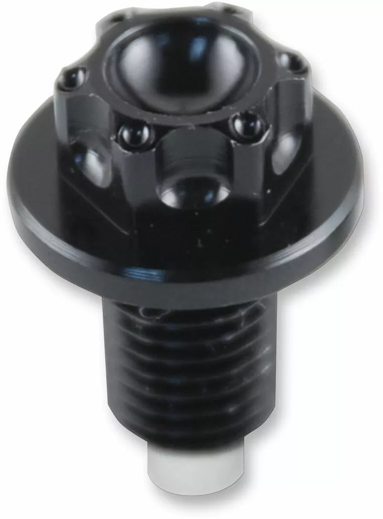 Honda CBR 1000 RR [PSR] - magnetic oil drain screw