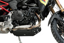 BMW F 900 GS [2025] – Engine Guard – Silver-30