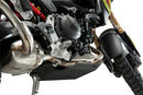 BMW F 900 GS [2025] – Engine Guard – Silver-5