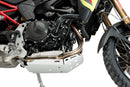BMW F 900 GS [2025] – Engine Guard – Silver-37