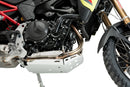 BMW F 900 GS [2025] – Engine Guard – Silver-11