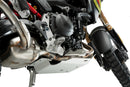 BMW F 900 GS [2025] – Engine Guard – Silver-38