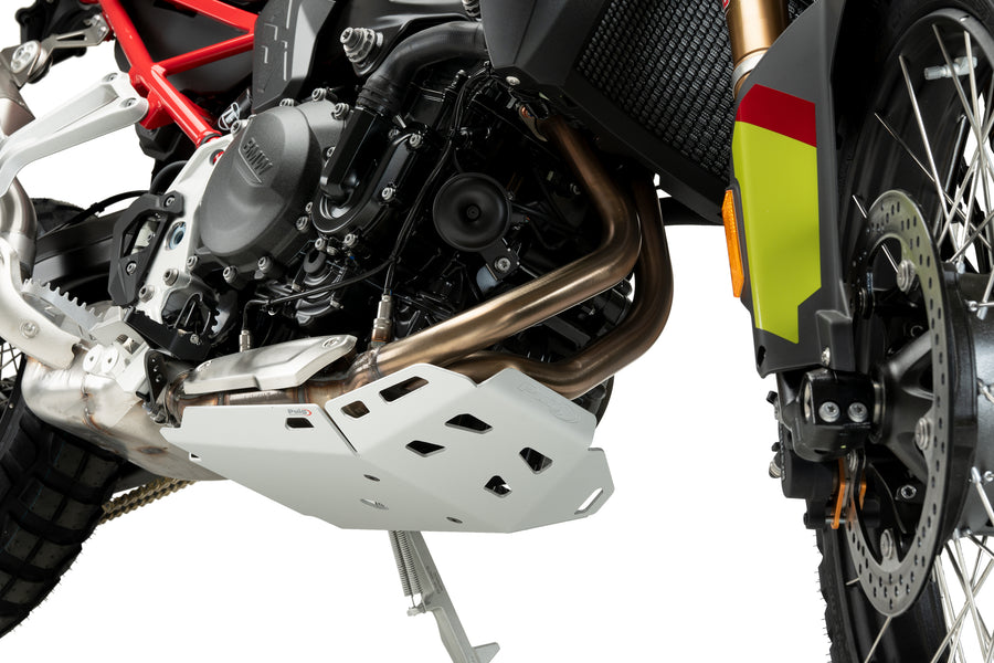 BMW F 900 GS [2025] – Engine Guard – Silver