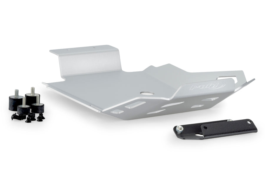 BMW F 900 GS [2025] – Engine Guard – Silver