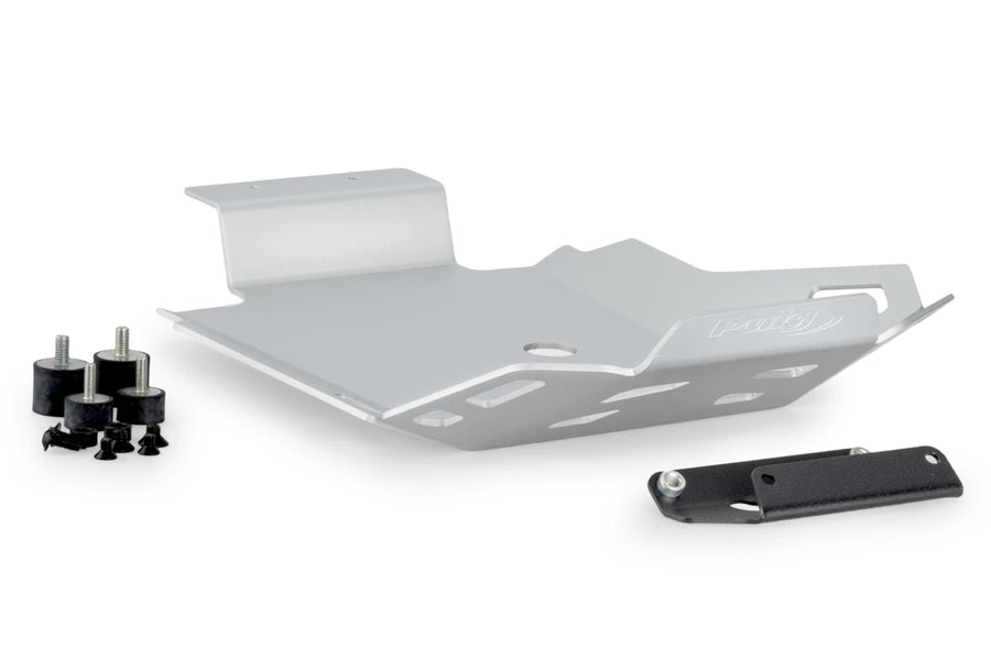 BMW F 900 GS [2025] – Engine Guard – Silver