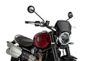 TRIUMPH SCRAMBLER 1200X [2025] – ALU faceplate – silver-4