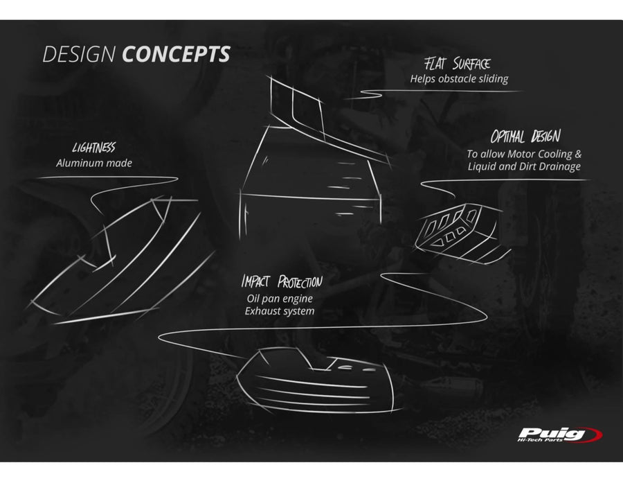 BMW F 900 GS [2025] – Engine Guard – Silver
