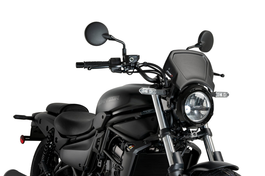 KAWASAKI ELIMINATOR 500 SE [2025] – ALU faceplate – silver