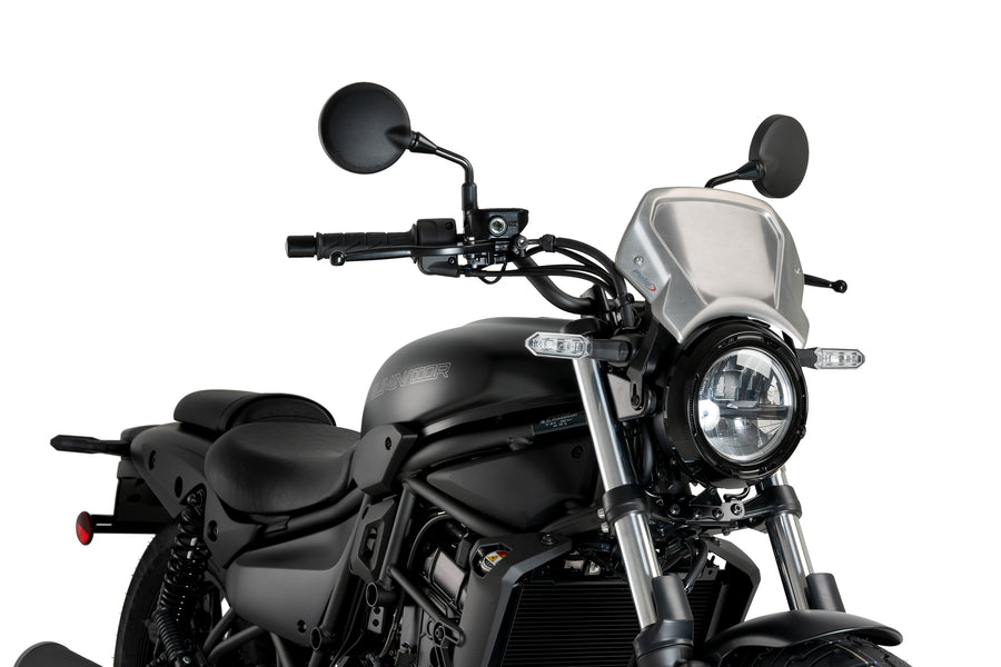 KAWASAKI ELIMINATOR 500 SE [2025] – ALU faceplate – silver