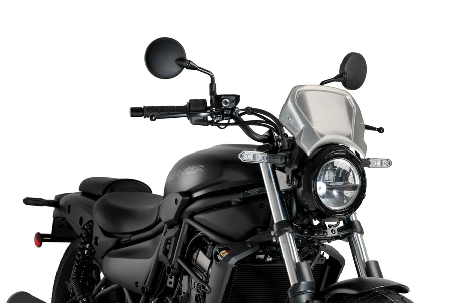 KAWASAKI ELIMINATOR 500 SE [2025] – ALU faceplate – silver
