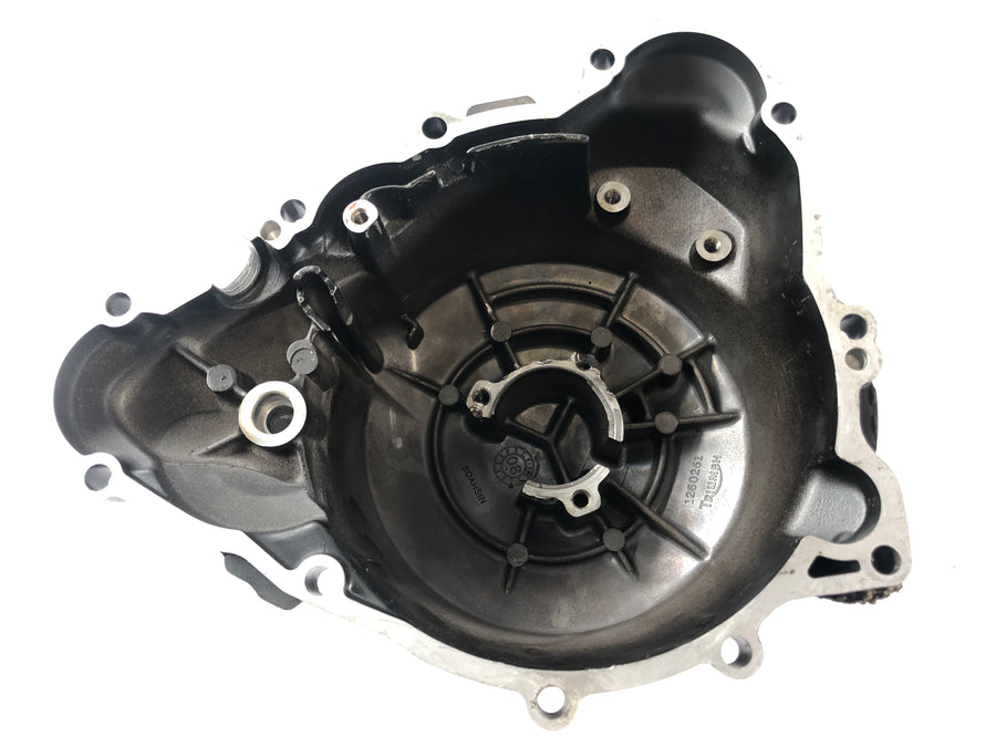 Triumph Street Triple R 675 D67LD [2008] - Alternator cover with carbon cover