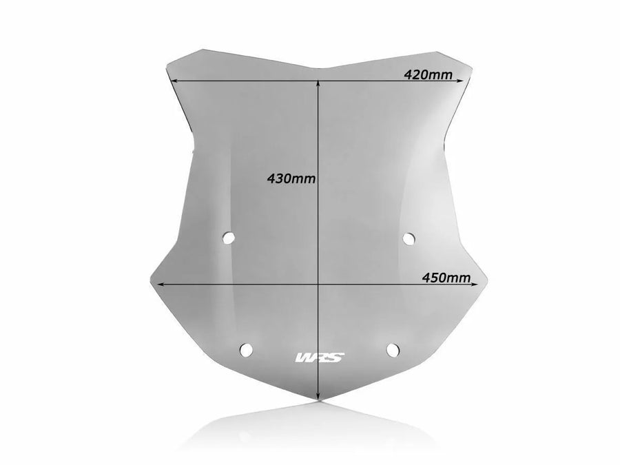 BMW R 1200 R [WRS] - windshield