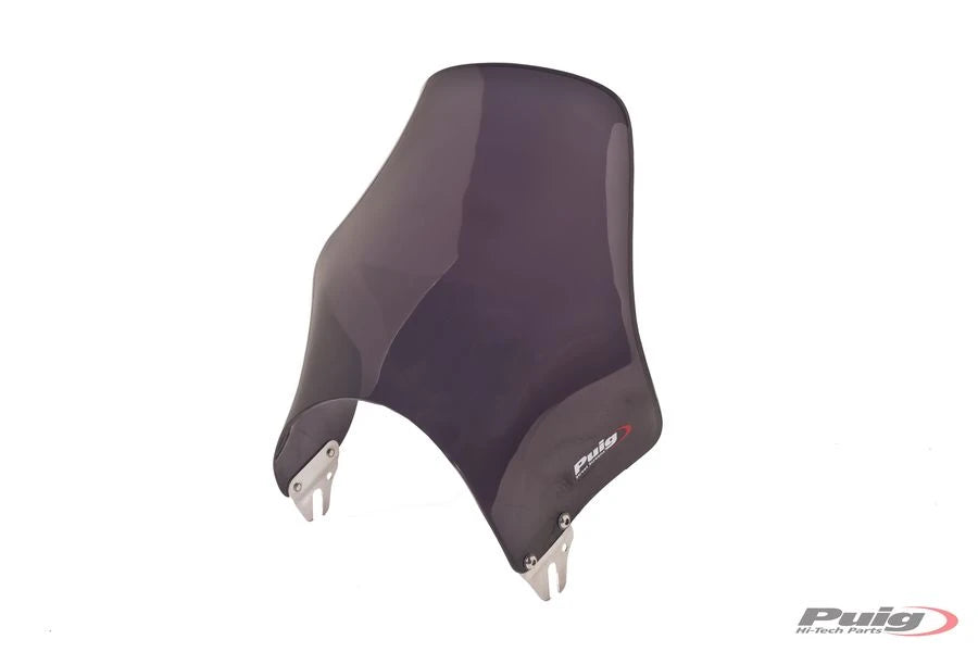 YAMAHA YBR 125 [2016] – Naked Fairing Windshield – Black