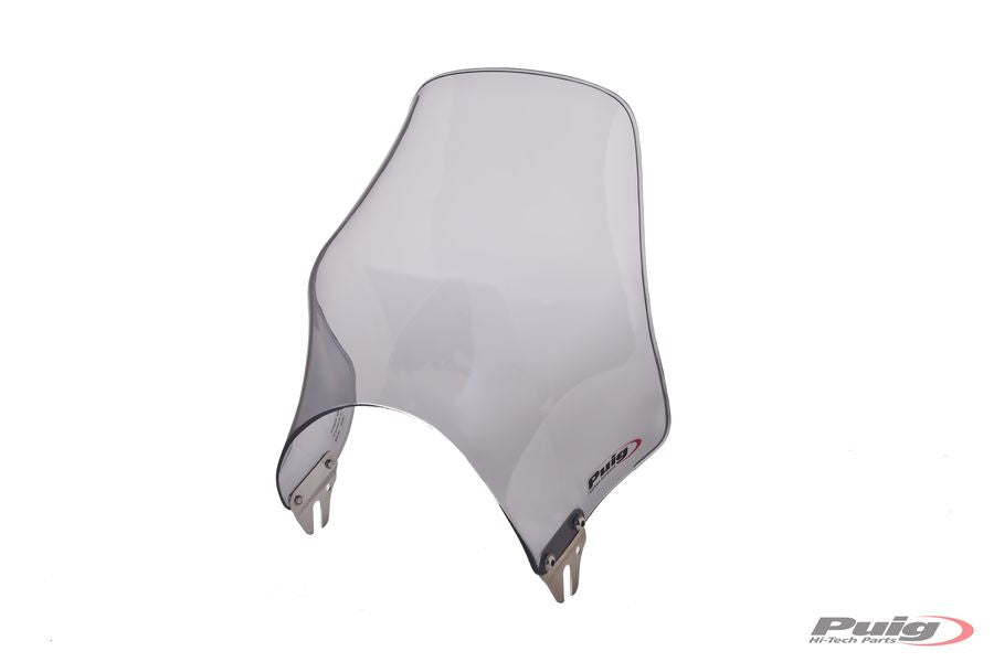 YAMAHA YBR 125 [2016] – Naked Fairing Windshield – Black