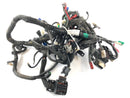 KTM Duke 390 [2014] - Wiring harness-1
