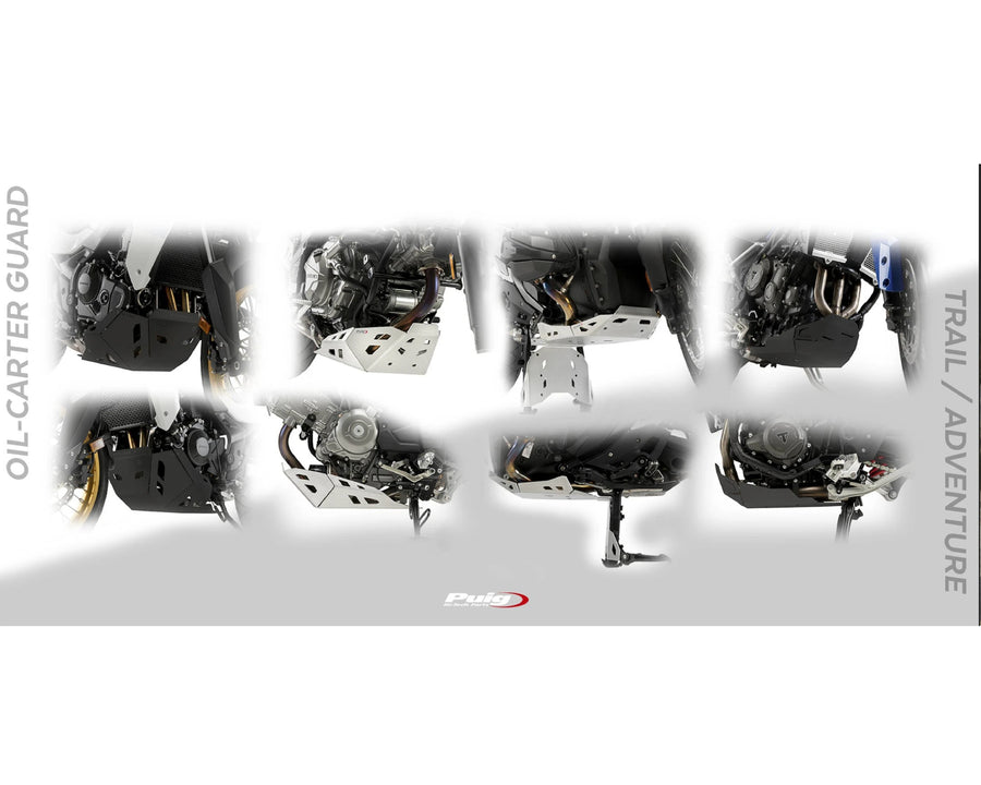 BMW F 900 GS ADVENTURE [2024] – Engine protection – Black