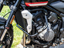 Triumph Trident 660 [2021-2024] - Motor protection bracket including Protectionpad-1