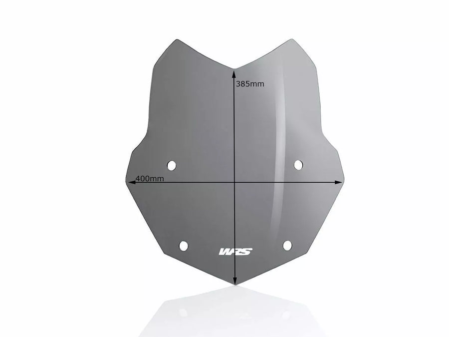 BMW R 1200 R [WRS] - windshield