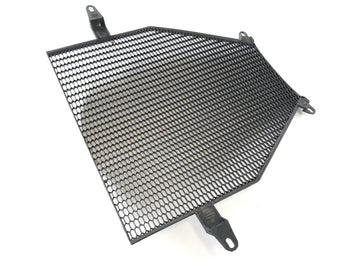 BMW K 1300 S K12S [2009] - Radiator grille - 0