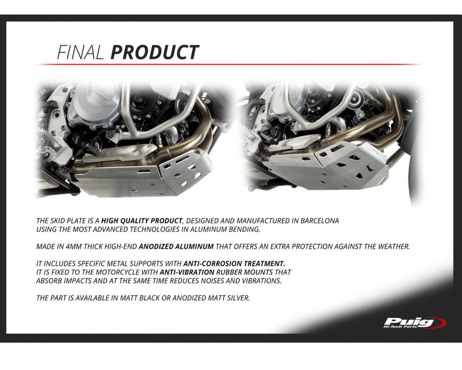 BMW F 900 GS [2025] – Engine Guard – Silver