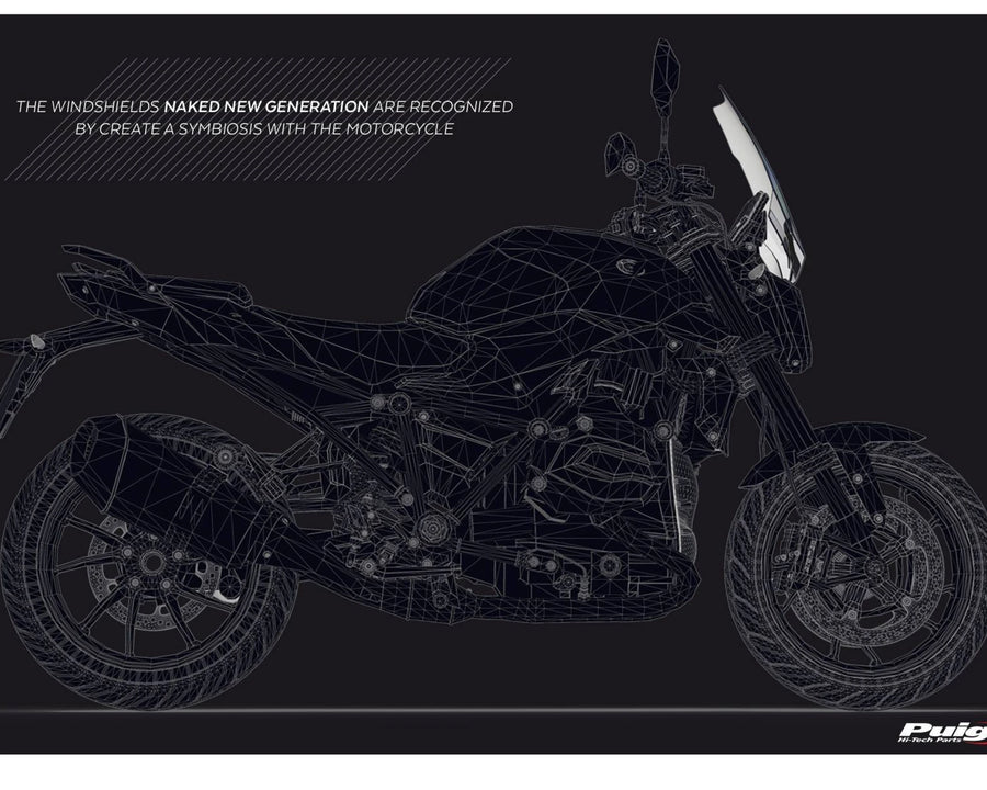 BMW R 1250 R [2018] – New Generation Sport – Transparent