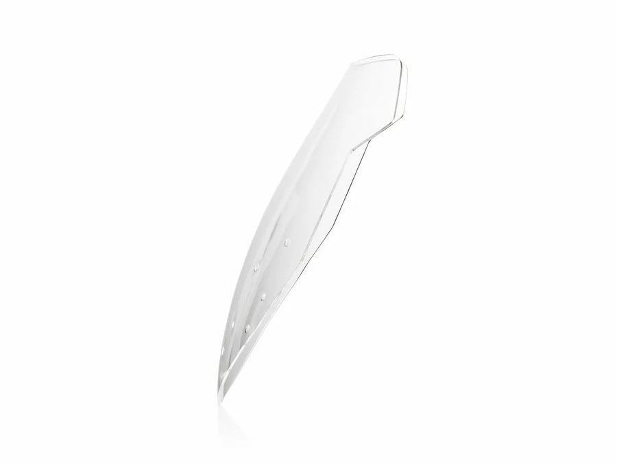 BMW R 1200 R [WRS] - windshield